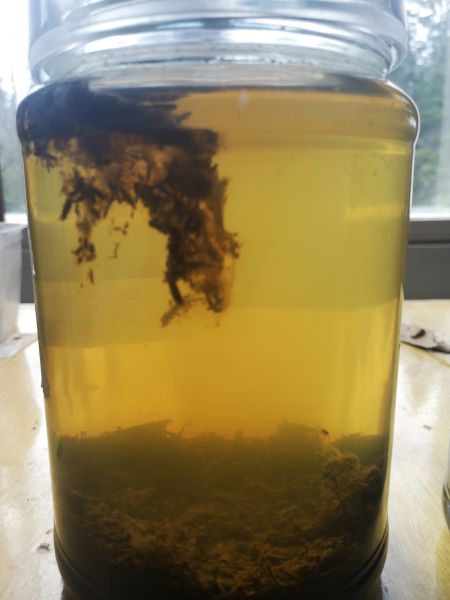 File:Glas jar with soils.jpg