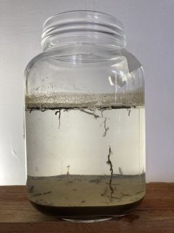 Glass jar.jpg