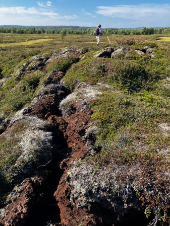The Choreography of the Bucket mire. A text written by Nora S. Vaage and Hilde Methi based on two Bucket mire visits in August, 2024.