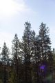 Thumbnail for version as of 18:24, 5 March 2025