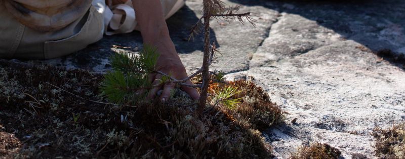File:Rituale 09 touching soil2.jpg