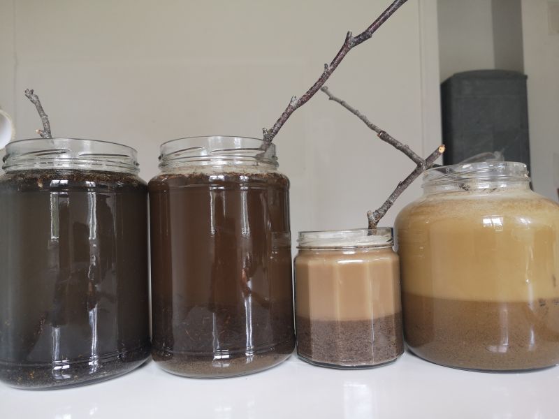 File:Four jars.jpg